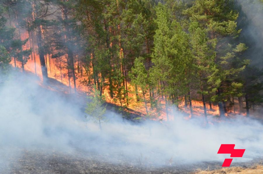 Дорнод, Сүхбаатарт гарсан дөрвөн түймрийн гуравыг бүрэн унтрааж, нэгийг нь цурамд орууллаа