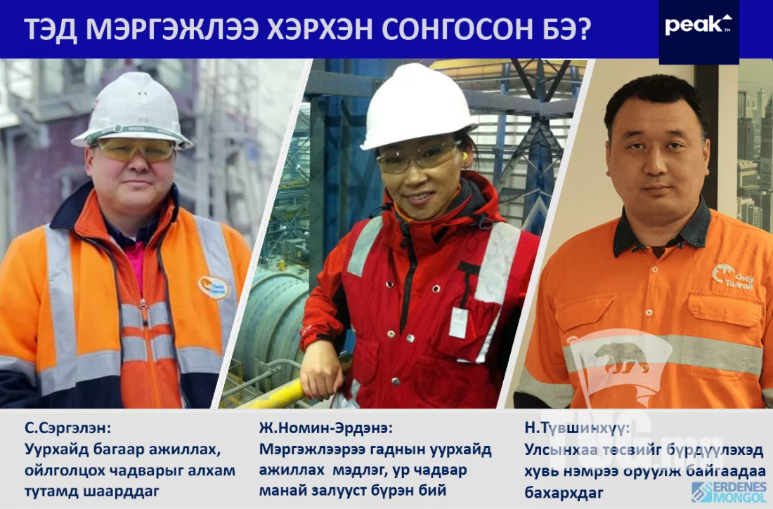 УУЛ УУРХАЙ: Үнэ цэнтэй мэргэжил, үнэлэгдсэн мэргэжилтнүүд