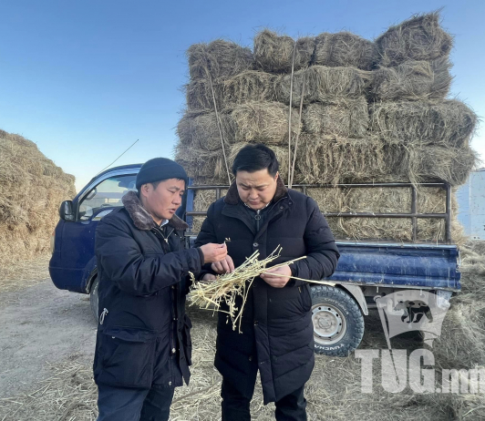 Өмнөговь аймаг малчдадаа хөнгөлөлттэй үнээр өвс, тэжээл олгож байна
