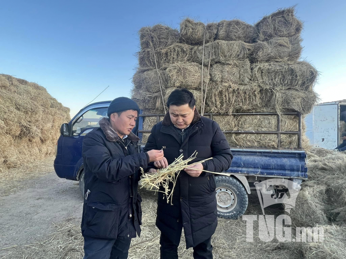 Өмнөговь аймаг малчдадаа хөнгөлөлттэй үнээр өвс, тэжээл олгож байна