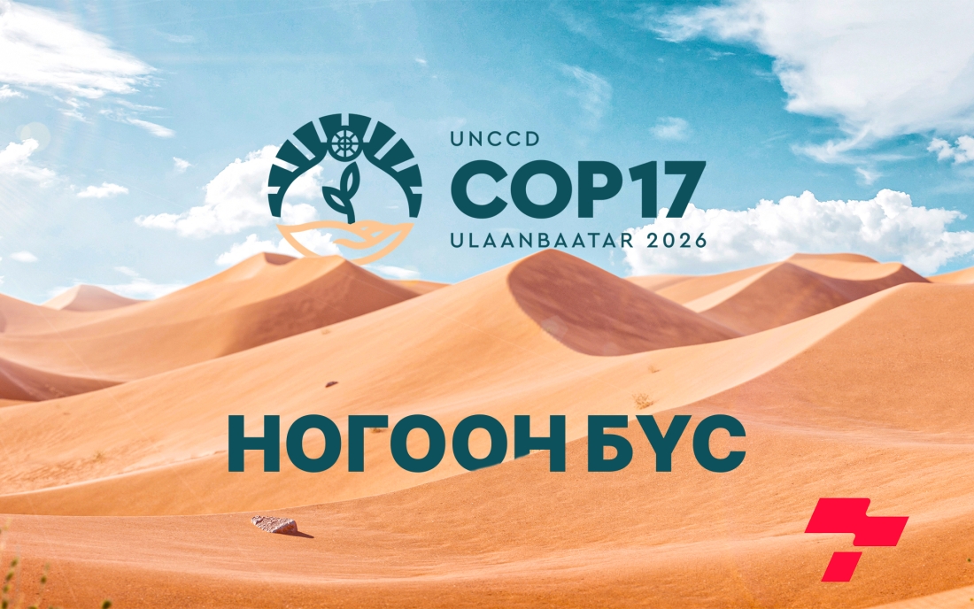 Бүгдэд нээлттэй, ээлтэй талбар бол “НОГООН БҮС”
