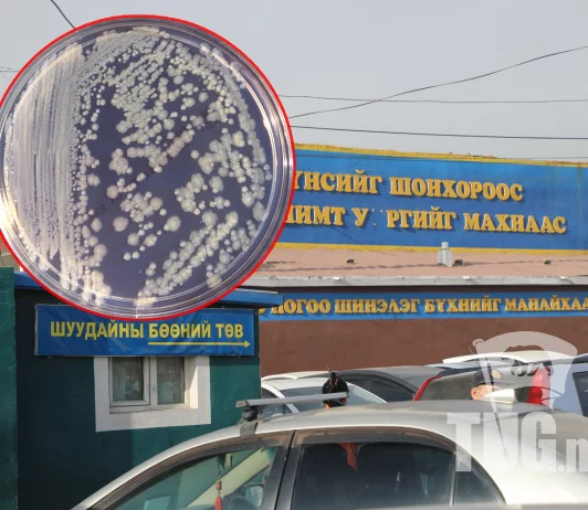 Сэрэмжлүүлэг: Хүчин шонхор захаас хүний эрүүл мэндэд хортой хоёр төрлийн НЯН илэрчээ