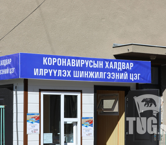 Ирэх оны эхний улиралд цар тахлын шинэ давлагаа үүсэх эрсдэлтэй