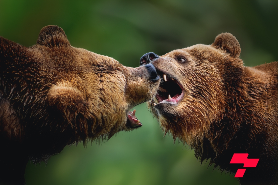 Оросын эрх баригчид баавгайтай тэмцэхийн тулд "WhereBear" төсөл хэрэгжүүлж эхэлжээ