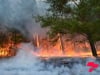 Японы ЭСЯ Нөмрөгийн түймэртэй холбоотойгоор харамслаа илэрхийллээ