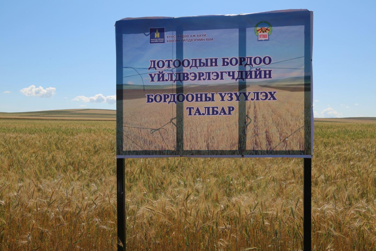 Бордоогоо бусдаас гуйхгүй
