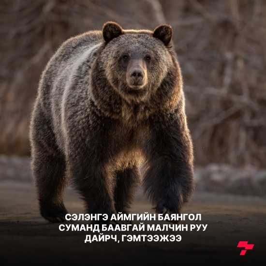 Постер зураг